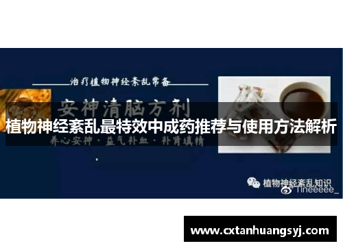 植物神经紊乱最特效中成药推荐与使用方法解析