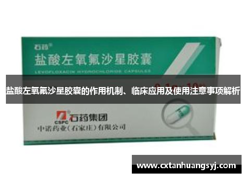 盐酸左氧氟沙星胶囊的作用机制、临床应用及使用注意事项解析